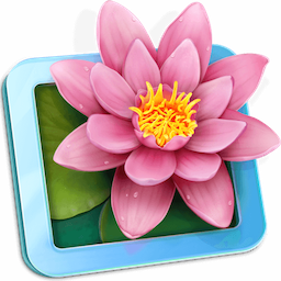 LilyView 1.6.0 icon