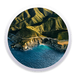macOS Big Sur 11.6 (20G165) (Image for VMWare) icon