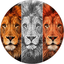 Sketch n Cartoonize 3.4 icon