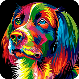 Splash n Recolor 4.3 icon
