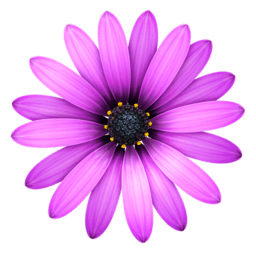 TextMate 2.0.rc.10 – Code/markup editor with many features. icon