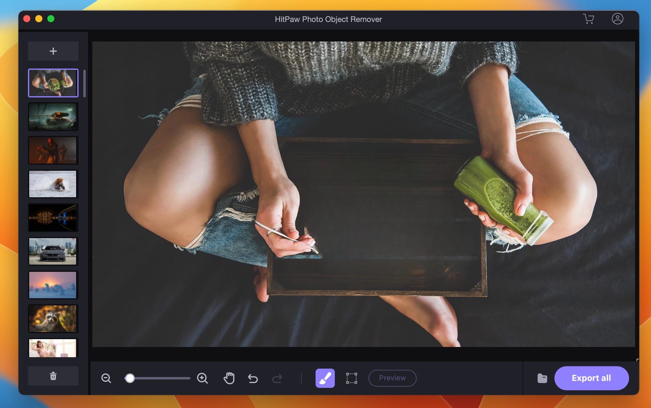 HitPaw Photo Object Remover 1.2.5 screenshot