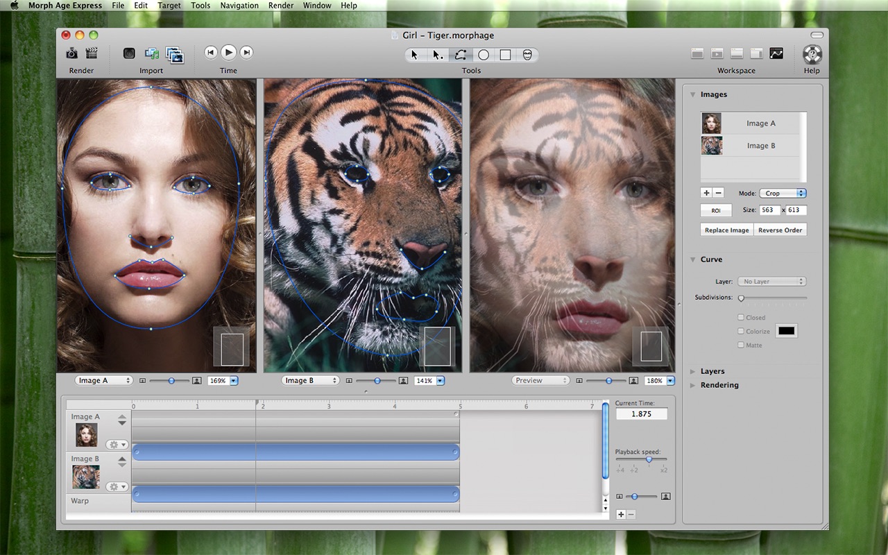Morph Age 5.3.0 screenshot