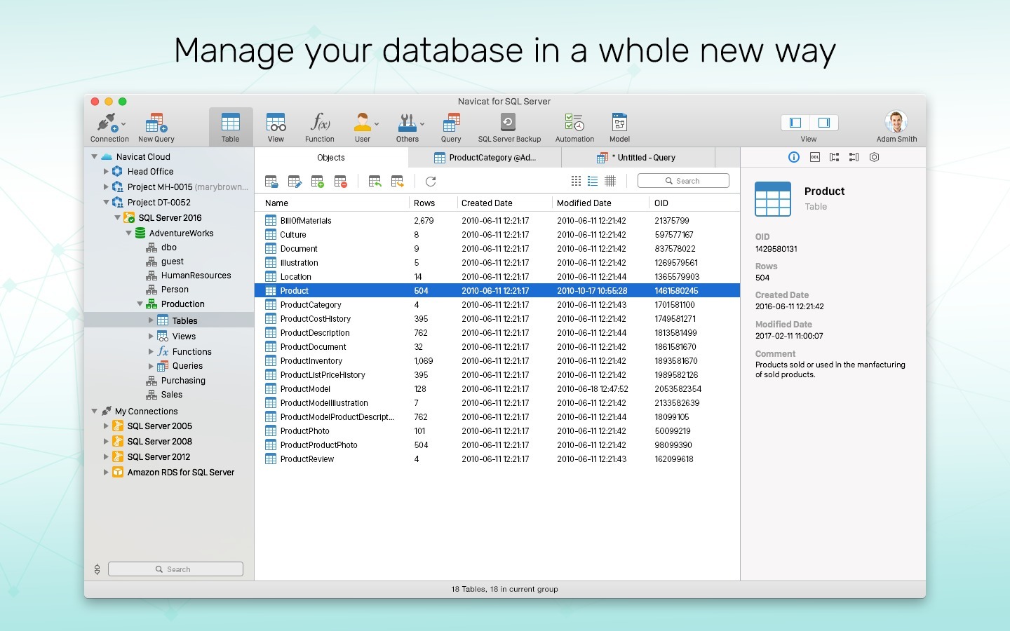 Navicat for SQL Server 17.1.9 screenshot