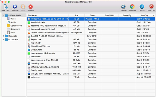 Neat Download Manager 1.3 screenshot