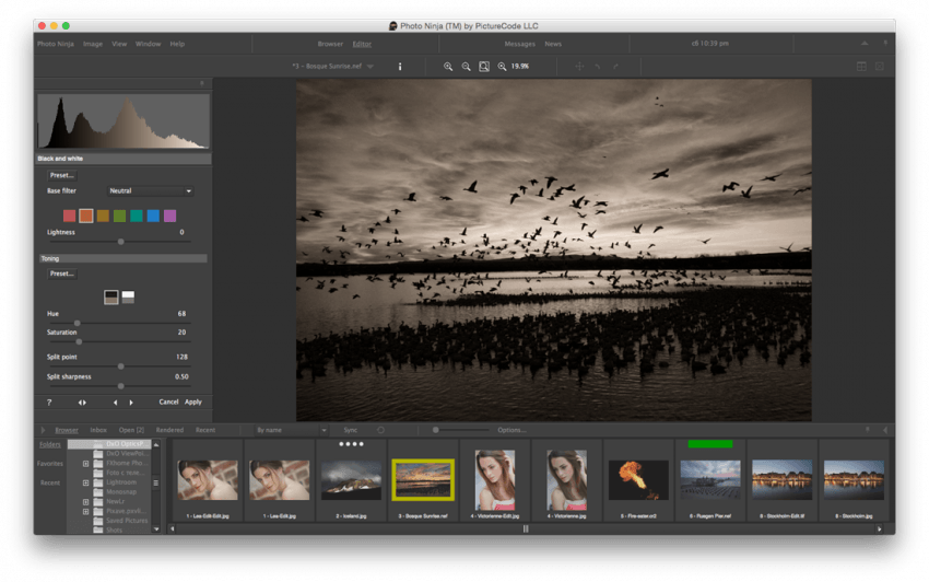 PhotoNinja 1.3.6c – High-quality Raw image converter. screenshot