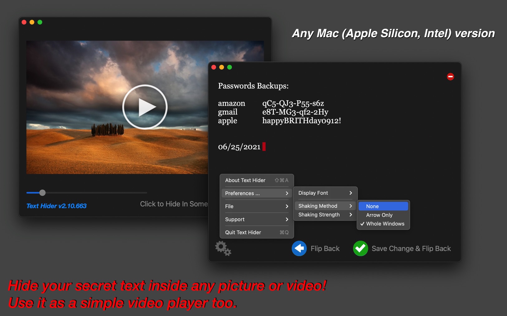 Text Hider 2.12 screenshot