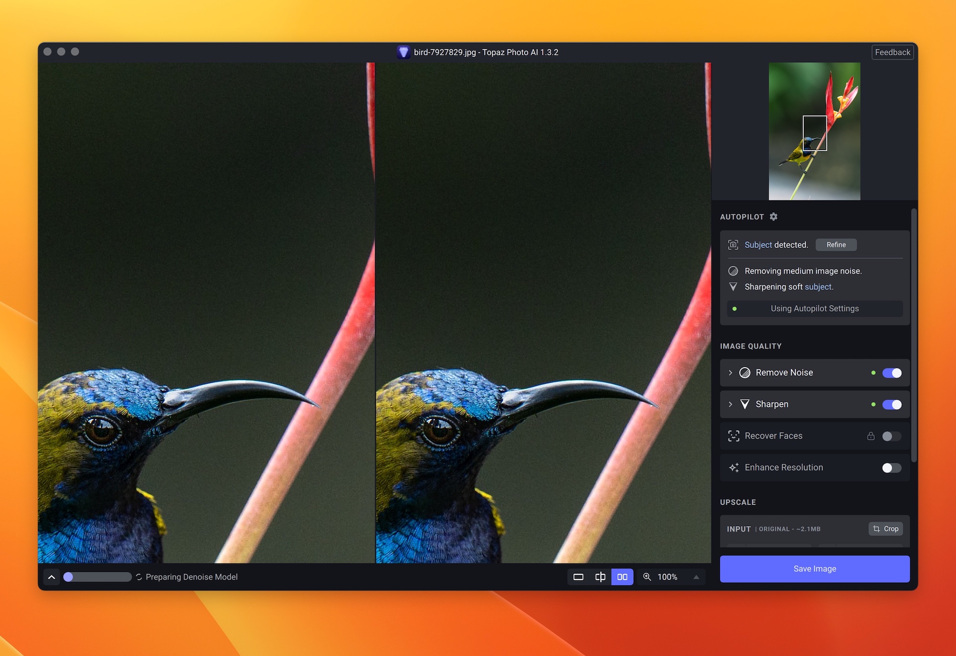 Topaz Photo AI 3.6.2 screenshot
