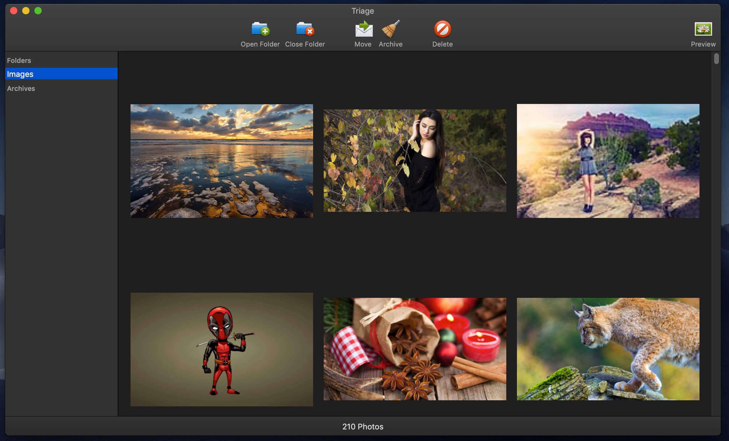 Triage 1.0.14 screenshot