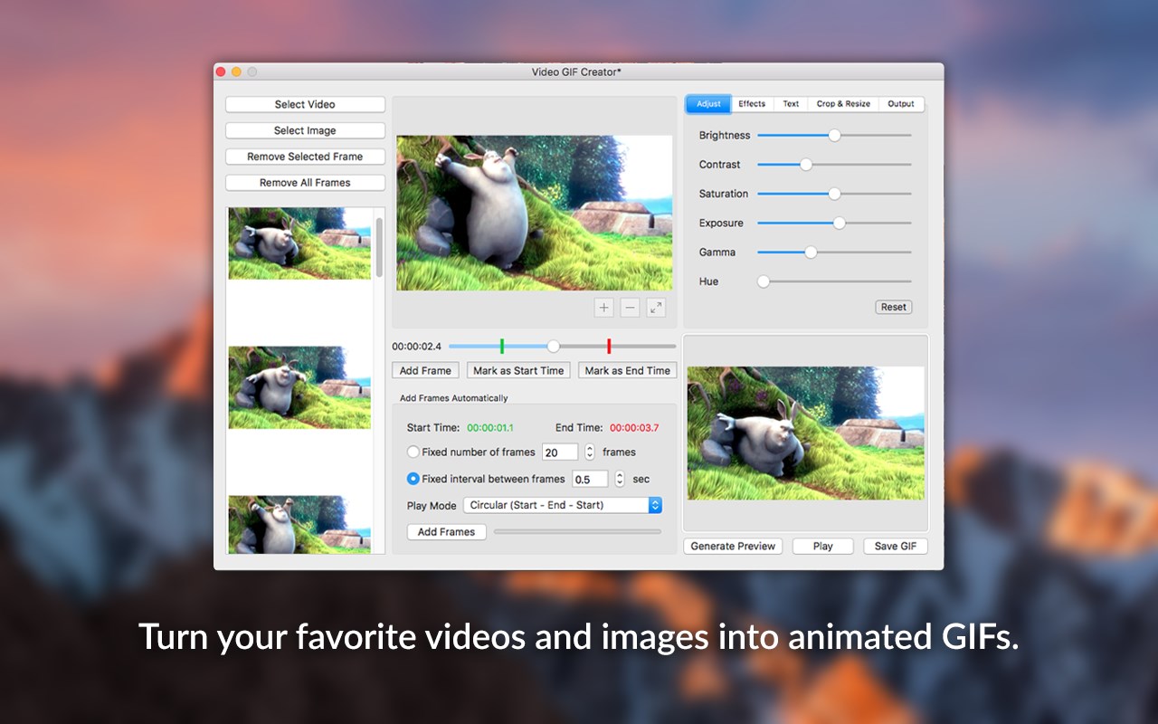 Video GIF Creator 1.2 screenshot