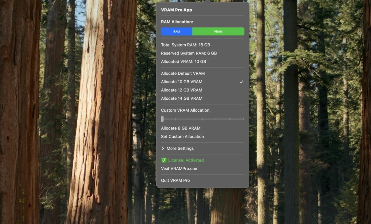 VRAM Pro 2.1.4 screenshot