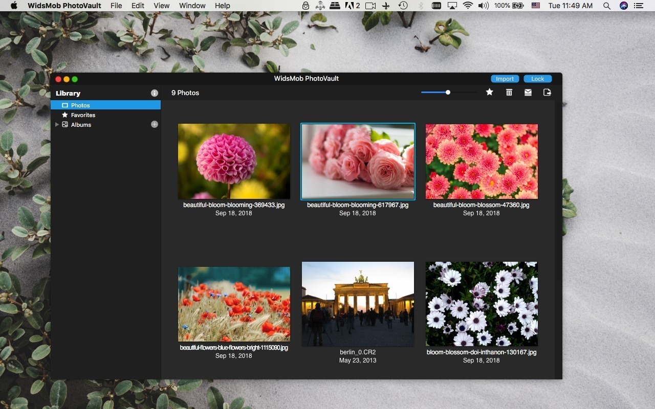 WidsMob PhotoVault 3.9 ekran görüntüsü
