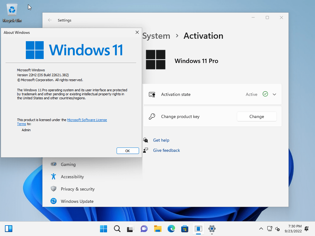 Windows 11 Pro 22H2 Build 22621.382 (No TPM Required) Preactivated Multilingual ekran görüntüsü