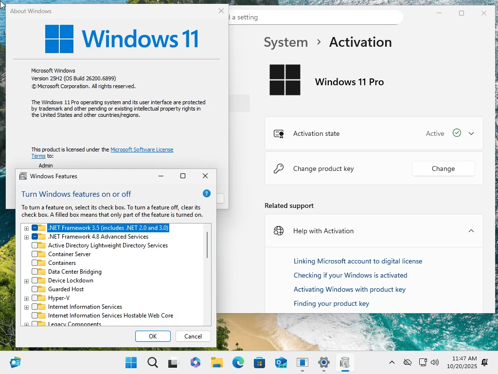 Windows 11 Pro 25H2 Build 26200.8875 (No TPM Required) With Office 2024 Pro Plus Multilingual Preactivated July 2026 ekran görüntüsü